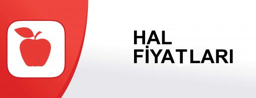 Hal fiyatları